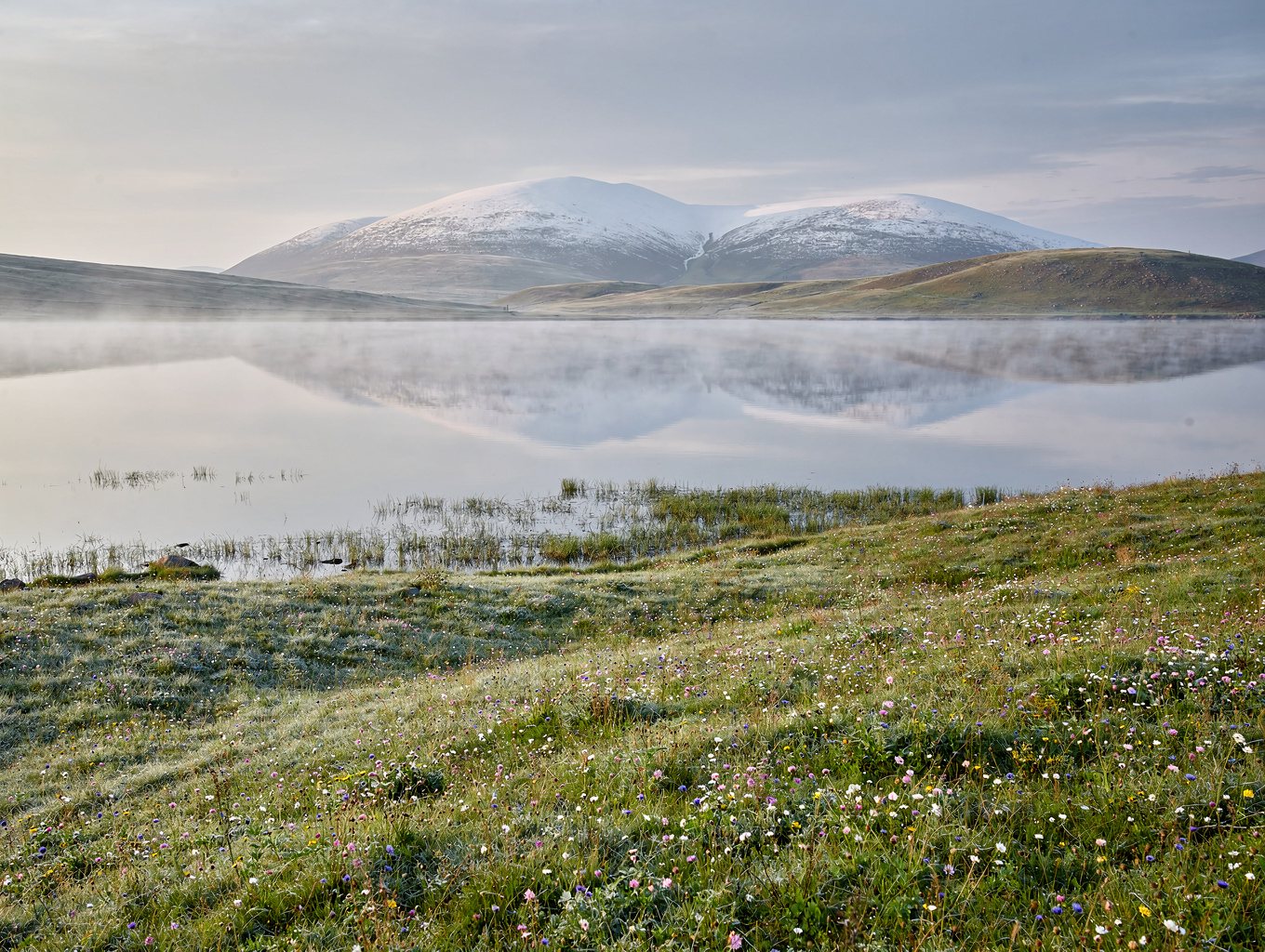 Calm natural landscape representing hope and recovery